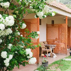 Village Garden Homestay Antalya